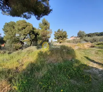 Residential 2800m<sup>2</sup> for sale photo 3079003