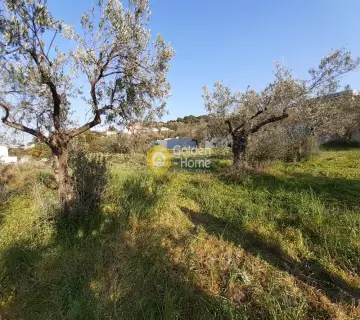 Residential 2800m<sup>2</sup> for sale photo 3079013