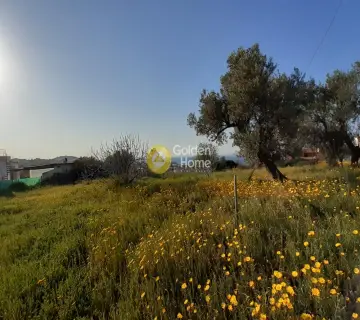 Οικιστικό 1632τ.μ. προς πώληση φωτογραφία 3079015
