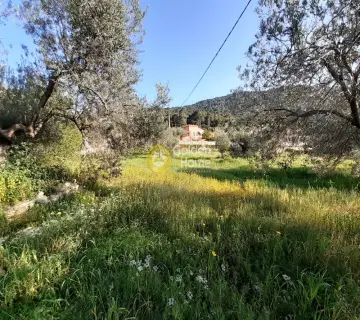 Οικιστικό 1632τ.μ. προς πώληση φωτογραφία 3079016