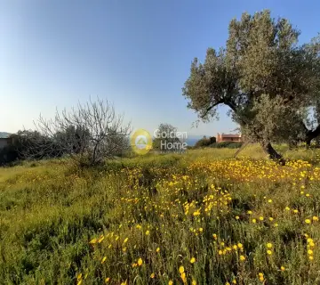 Οικιστικό 1632τ.μ. προς πώληση φωτογραφία 3079014