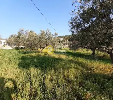 Οικιστικό 1632τ.μ. προς πώληση φωτογραφία 3079018