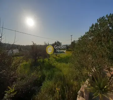 Οικιστικό 1632τ.μ. προς πώληση φωτογραφία 3079025