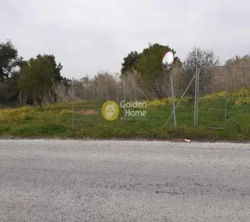Επαγγελ. Οικόπεδο 750τ.μ. προς ενοικίαση φωτογραφία 3073369