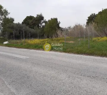 Επαγγελ. Οικόπεδο 750τ.μ. προς ενοικίαση φωτογραφία 3073370