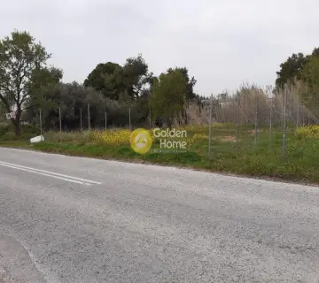 Επαγγελ. Οικόπεδο 750τ.μ. προς ενοικίαση φωτογραφία 3073371