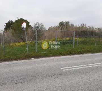 Επαγγελ. Οικόπεδο 750τ.μ. προς ενοικίαση φωτογραφία 3073372