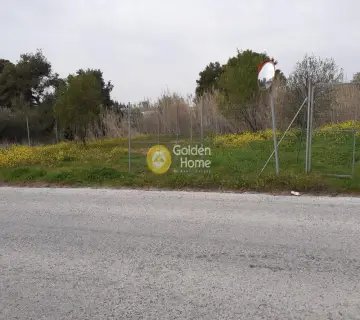Επαγγελ. Οικόπεδο 750τ.μ. προς ενοικίαση φωτογραφία 3073373