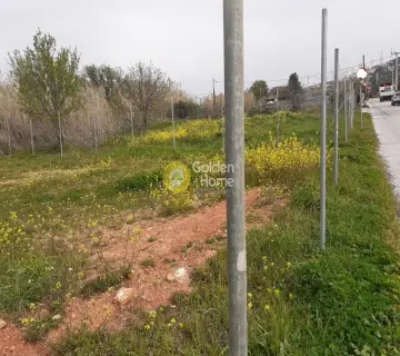 Επαγγελ. Οικόπεδο 750τ.μ. προς ενοικίαση φωτογραφία 3073376