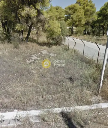 Residential 1597m<sup>2</sup> for sale photo 2