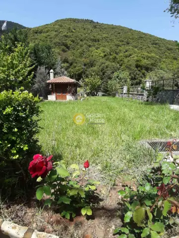 House 100m<sup>2</sup> for rent photo 46