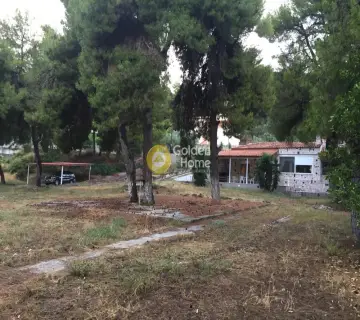 House 180m<sup>2</sup> for sale photo 9