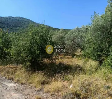 Residential 420m<sup>2</sup> for sale photo 3263761