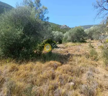 Residential 420m<sup>2</sup> for sale photo 3263763