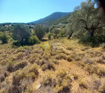 Residential 420m<sup>2</sup> for sale photo 3263764