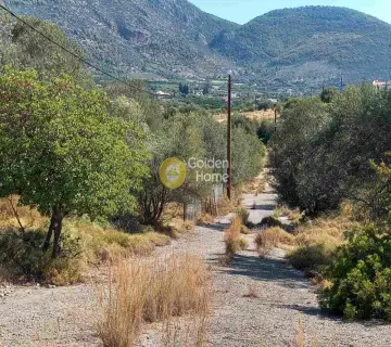 Residential 420m<sup>2</sup> for sale photo 1