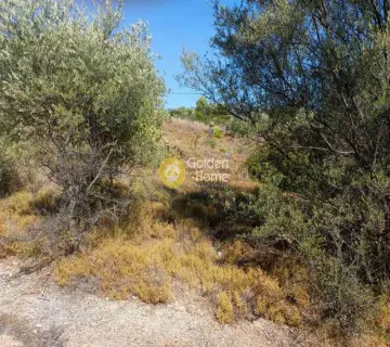 Residential 420m<sup>2</sup> for sale photo 3263762