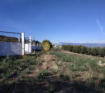 Residential 6465m<sup>2</sup> for sale photo 3111752