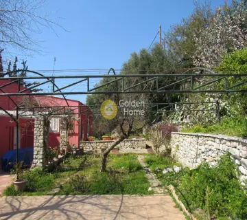 Golden Home Property Image