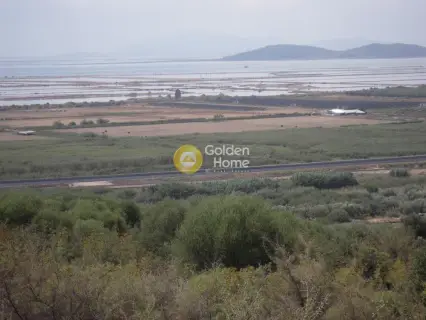 Επαγγελ. Οικόπεδο 180000τ.μ. προς πώληση φωτογραφία 7