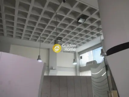 Κατάστημα 600τ.μ. προς πώληση φωτογραφία 30