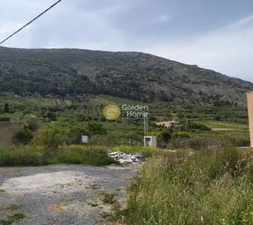 住宅 890m<sup>2</sup> for sale photo 3126978