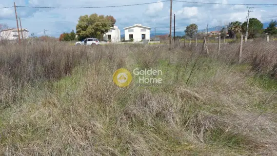 Οικιστικό 1014τ.μ. προς πώληση φωτογραφία 4