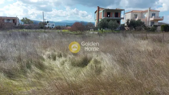 Οικιστικό 1014τ.μ. προς πώληση φωτογραφία 5