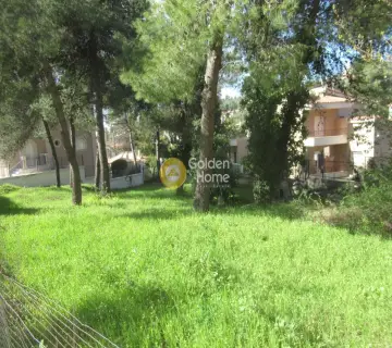 Οικιστικό 790τ.μ. προς πώληση φωτογραφία 5