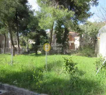 Οικιστικό 790τ.μ. προς πώληση φωτογραφία 7