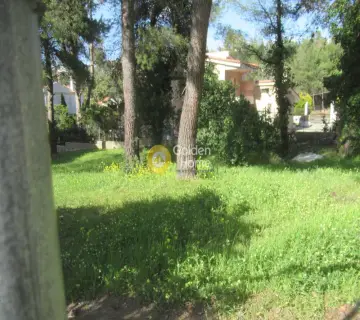 Οικιστικό 790τ.μ. προς πώληση φωτογραφία 10
