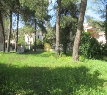 Οικιστικό 790τ.μ. προς πώληση φωτογραφία 18