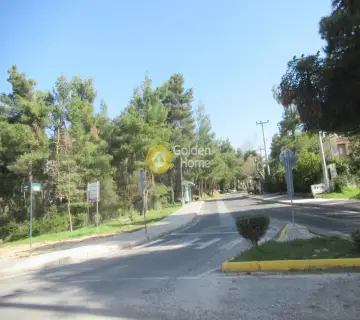 Οικιστικό 790τ.μ. προς πώληση φωτογραφία 24