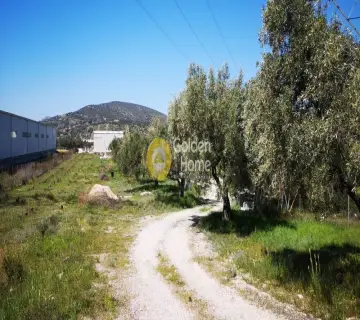 Επαγγελ. Οικόπεδο 6800τ.μ. προς ενοικίαση φωτογραφία 3095607
