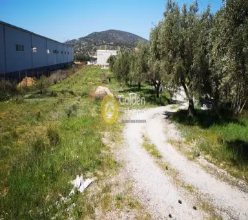 Επαγγελ. Οικόπεδο 6800τ.μ. προς ενοικίαση φωτογραφία 3095607
