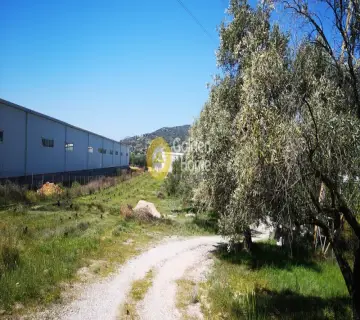 Επαγγελ. Οικόπεδο 6800τ.μ. προς ενοικίαση φωτογραφία 3095608
