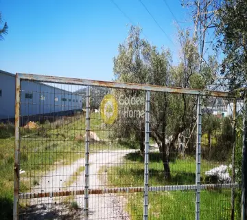 Επαγγελ. Οικόπεδο 6800τ.μ. προς ενοικίαση φωτογραφία 3095608