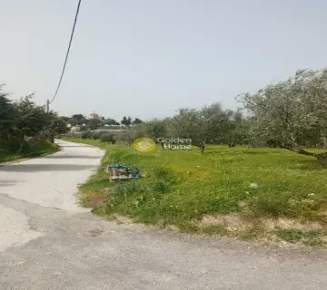 Residential 2006m<sup>2</sup> for sale photo 3095231