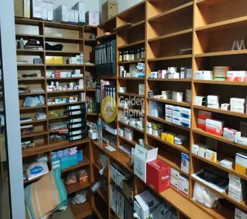 Golden Home Property Image