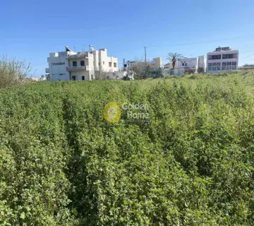 Residential 740m<sup>2</sup> for sale photo 3