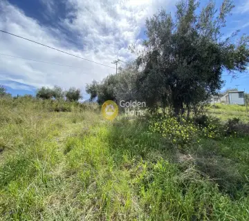 Parcel 1050m<sup>2</sup> for sale photo 3101388