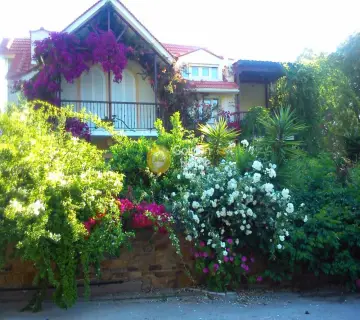 Golden Home Property Image