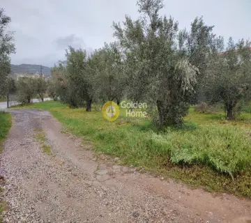 Μονοκατοικία 187τ.μ. προς πώληση φωτογραφία 5