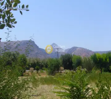 Επαγγελ. Οικόπεδο 10500τ.μ. προς ενοικίαση φωτογραφία 1