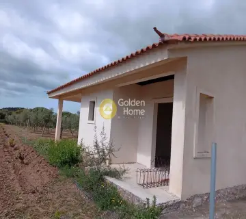 Golden Home Property Image
