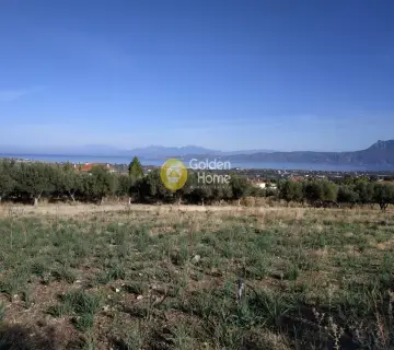 Professional Plot 6465m<sup>2</sup> for sale photo 3111757
