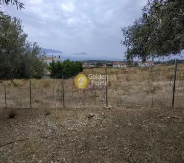 Professional Plot 6465m<sup>2</sup> for sale photo 3111760