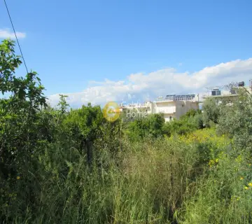 Residential 1495m<sup>2</sup> for sale photo 3112219