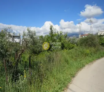 Residential 1495m<sup>2</sup> for sale photo 3112220
