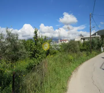 Residential 1495m<sup>2</sup> for sale photo 3112221